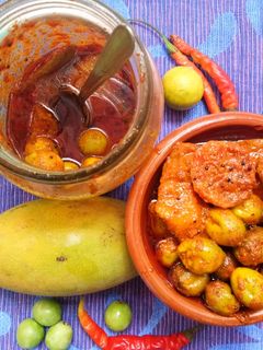 लसोड़े का मिक्स अचार रेसिपी मुख्य फोटो