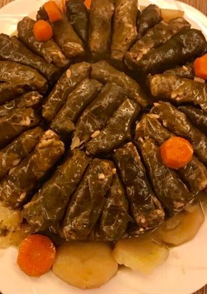عکسی از دستور دلمه برگ مو لبنانی (ورق عنب -wara anab)