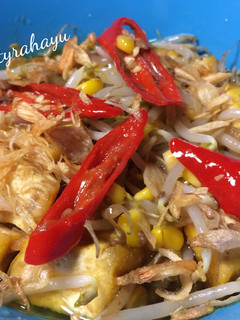 Foto resep Tumis Tahu Tauge Tauco