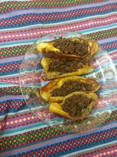 عکسی از دستور غذای بادمجانی