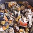 Verduras salteadas como pollo y trocitos de bondiola