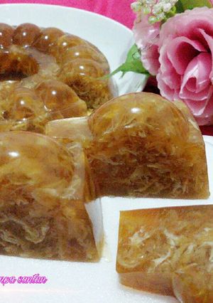 Foto resep Puding karang tanpa santan (agar lumut)