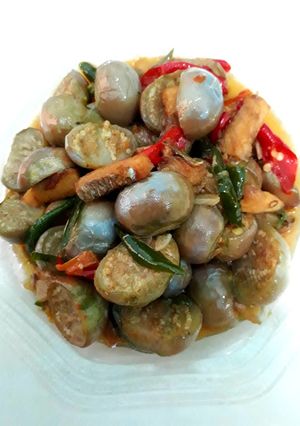 Foto resep Terong Bulat Tumis Cabe Ikan Asin