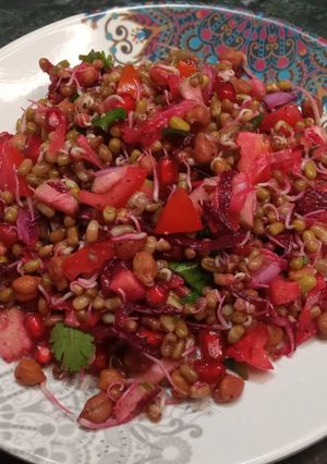 A picture of Mix sprout salad.