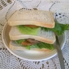 A picture of Burger sandwich.