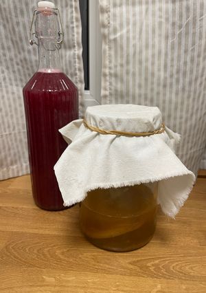 Una foto de Kombucha de Frutos del Bosque