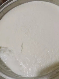 عکسی از دستور ماست خانگی
