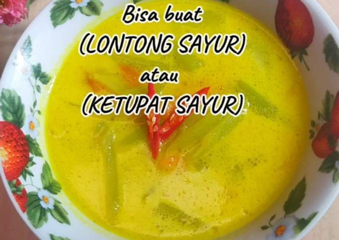 Resep SAYUR SANTAN LABU SIAM+WORTEL (Bisa untuk sayur ketupat) oleh ...