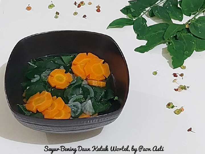 Cara Gampang Menyiapkan Resep  Sayur Bening Daun Katuk Wortel yang Menggugah Selera, Sempurna
