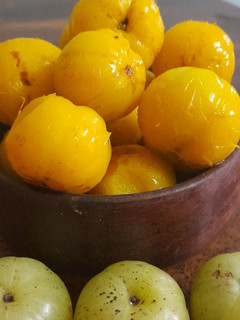 આથેલા આમળા (Athela Amla Recipe In Gujarati) રેસીપી મુખ્ય ફોટો