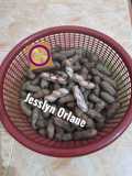 Kacang Tanah Rebus By Jesslyn Orlane