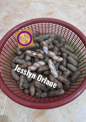 Foto resep Kacang Tanah Rebus By Jesslyn Orlane