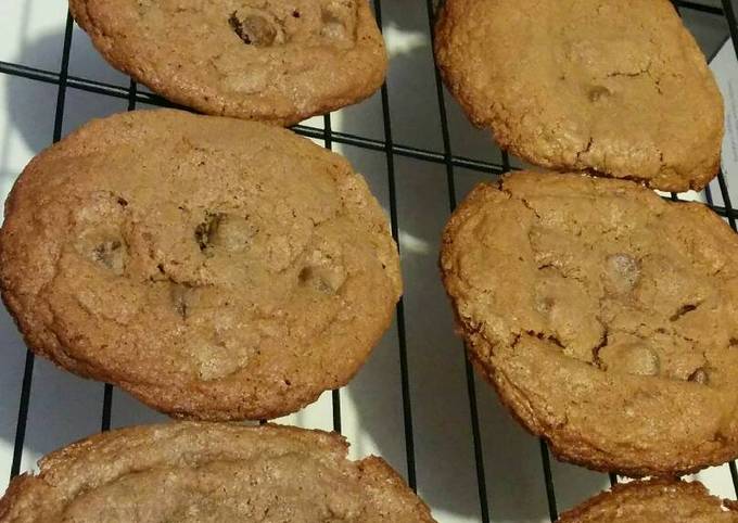 Chewy Cocoa Chocolate Chip Cookies