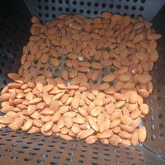 A picture of Smoked Almonds 2024.