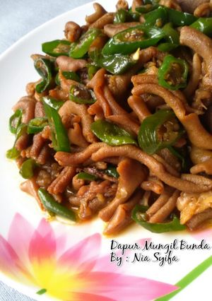 Foto resep Tumis Usus Ayam Cabe Hijau
