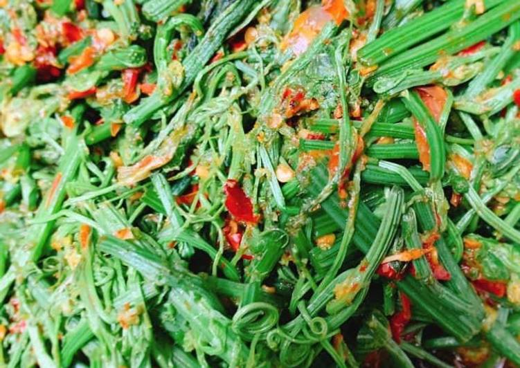 Resep Tumis pucuk daun  waluh oleh wulan phaophao Cookpad