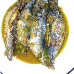 A picture of Carapau Fish.