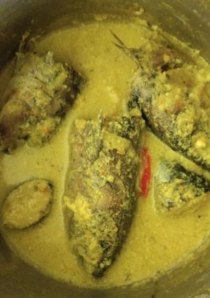 Foto resep Tongkol Kuah Santan