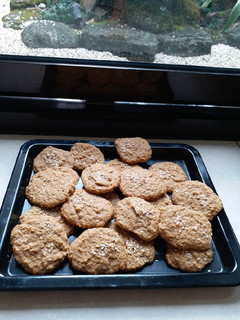 Foto resep Tepung Oat cookies (gluten free)