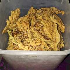 A picture of Peyek Kacang Ijo ala saya.