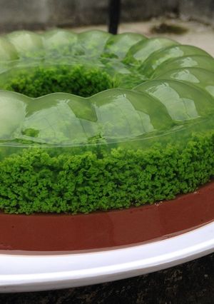 Foto resep Puding Lumut Coklat