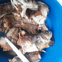 A picture of Fried fish.