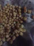Keciput (onde-onde ceplis)