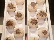 Hình ảnh của vải elsa