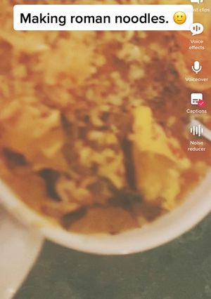 A picture of Roman noodles. 🙂.