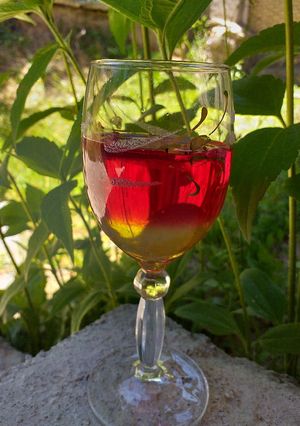 عکسی از دستور ژله دو رنگ