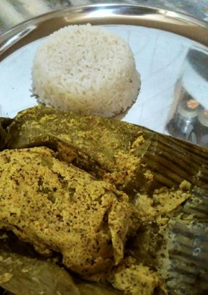A picture of Bhetki maccher paturi (Barramundi fish).