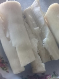 A picture of Cassava.