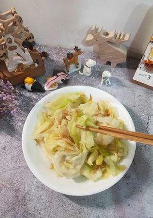 櫻花蝦炒高麗菜 的食譜成品照片