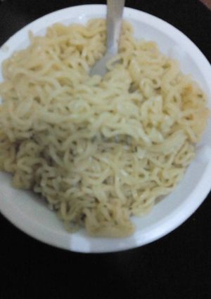 A picture of Noodles.