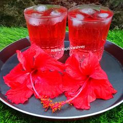 A picture of Hibiscus Honey Lemon Tea.