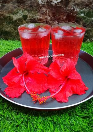 A picture of Hibiscus Honey Lemon Tea.