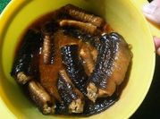 Gambar belut kecap