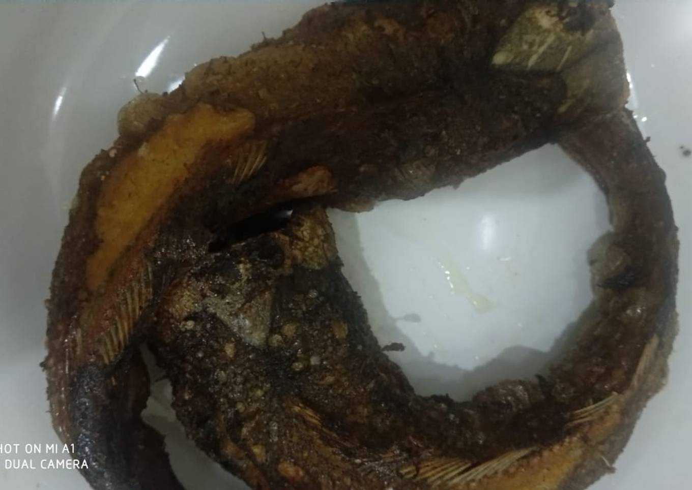 Lele goreng