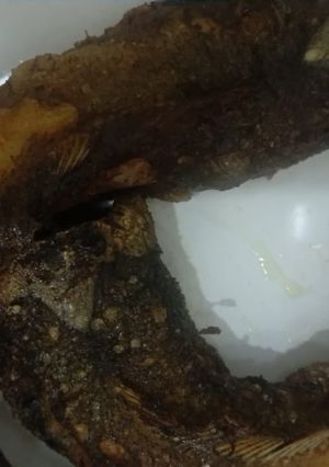 Foto resep Lele goreng