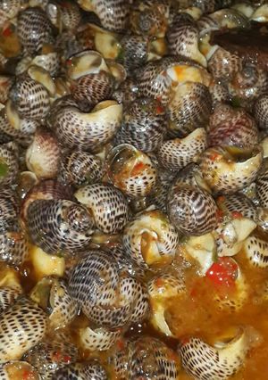 Foto resep Tauco siput
