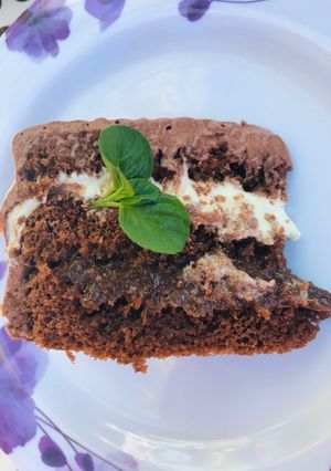 Una foto de Torta de chocolate con menta