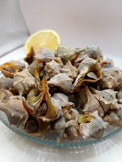 Una foto de Cañaillas o caracolas de mar