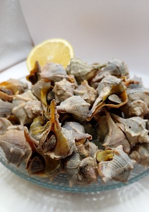 Una foto de Cañaillas o caracolas de mar