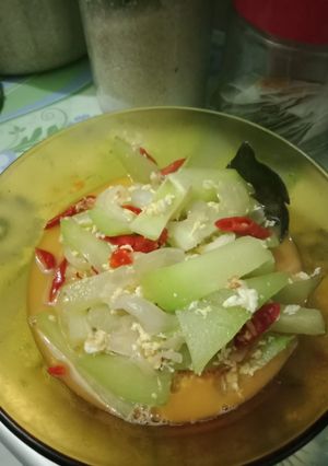 Foto resep Jipang(labu siam) telur orak arik