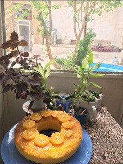 عکسی از دستور کیک پرتقالی