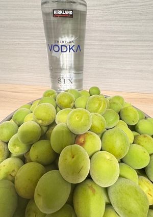 釀梅酒 的食譜成品照片