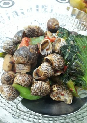 Foto resep Tumis siput kerang + sawi pahit