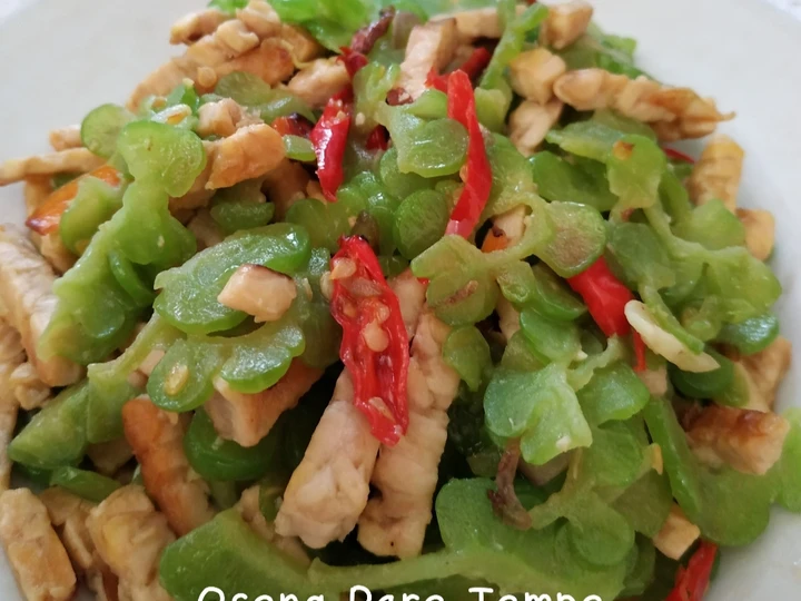 Cara Mudah Membuat Resep Oseng Pare Tempe yang Bisa Manjain Lidah Anti Ribet, Menggugah Selera