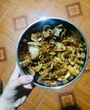 Thịt lợn kho bí đao(pin) khô