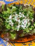 Salade feuille de chêne aux pignons de pin, mozzarella et persil